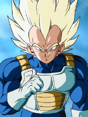 Dragon Ball Z Vegeta Saiyan Battle Armor Weighted Vest in White and Brown